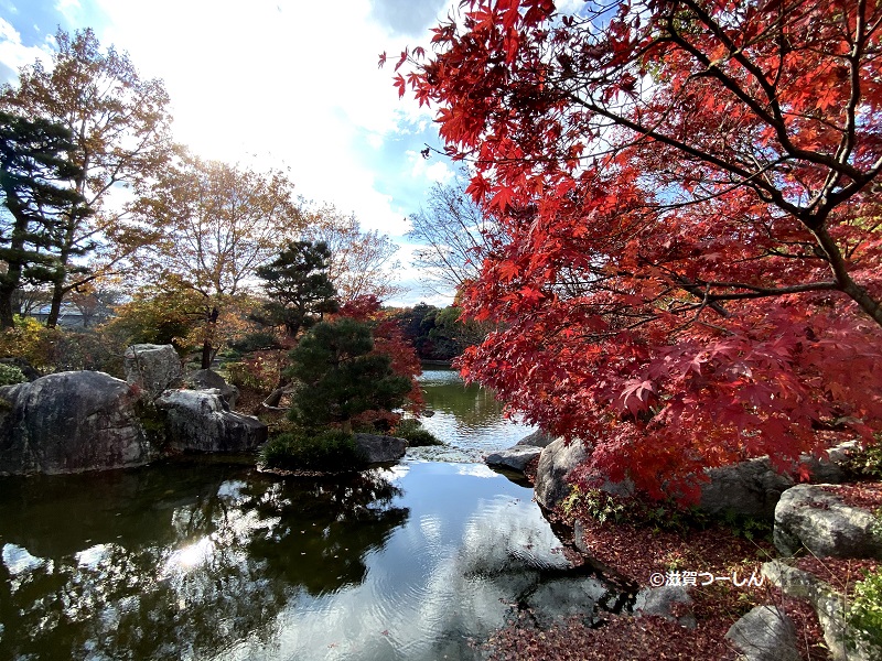 滋賀紅葉スポット無料で見れる「びわこ文化公園」