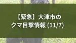 大津市 20251107熊目撃情報