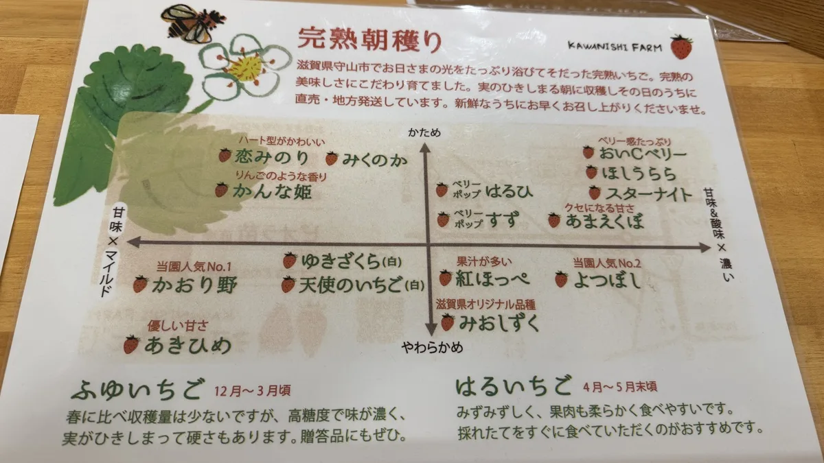 完熟朝獲りいちごのイチゴの種類