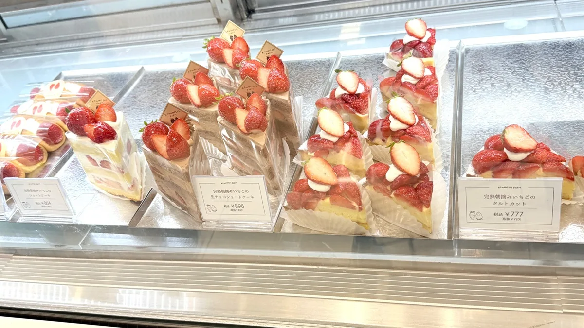 ケーキのショーケース