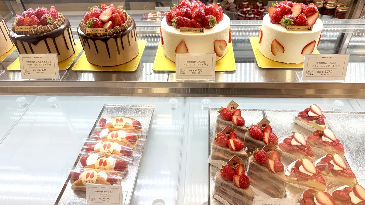 デコレーションケーキのショーケース