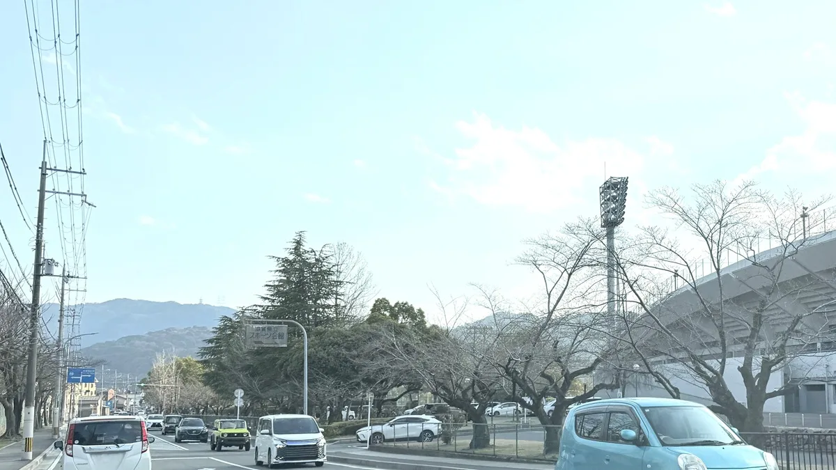 皇子山総合運動公園野球場(皇子山球場)にある染井吉野(ソメイヨシノ)