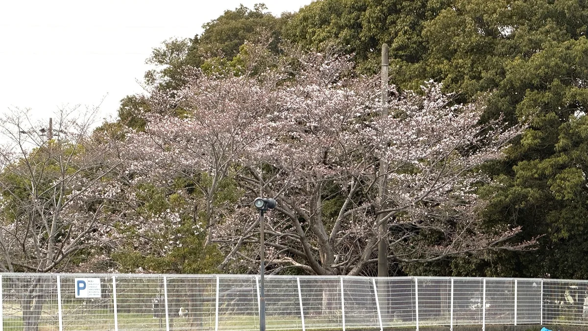 小篠原グラウンド