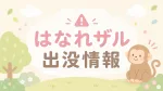 2026年6月に入って、滋賀県長浜市内でサルの目撃情報が立て続けに報告されているんです。