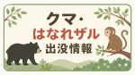 2026年6月24日〜25日にかけて、長浜市内でクマ2件・はなれザル1件の目撃情報