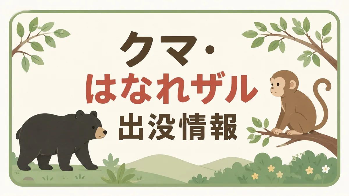 2026年6月24日〜25日にかけて、長浜市内でクマ2件・はなれザル1件の目撃情報