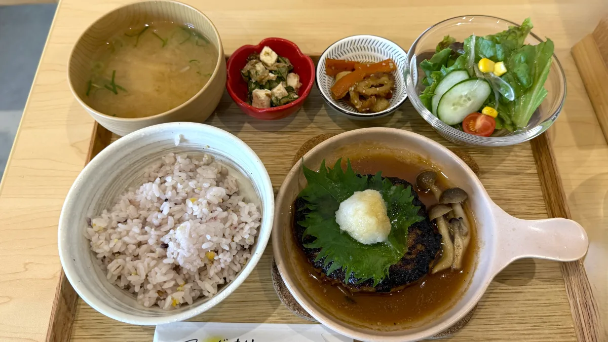「おろしハンバーグ」は、肉汁溢れるハンバーグに、大根おろしとひと手間加えたポン酢ソースであっさりと仕上げています。価格は「1,580円（税込）」です。