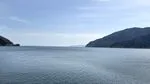長浜市八島町でクマ目撃 北へ向かう姿確認【2026年8月25日】